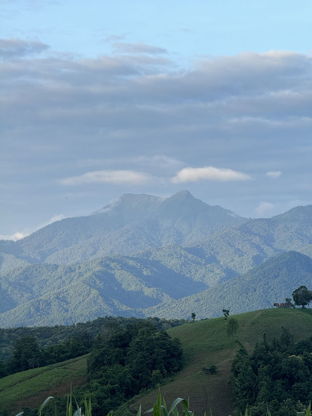 ภูเขาเทเลทับบี้ | จ.แพร่ ⛰️🌧️🌿🌳