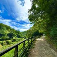 府民の森の中にある吊り橋