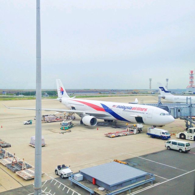 飛行機の旅✈️マレーシア航空でいくマレーシア→コタキナバル