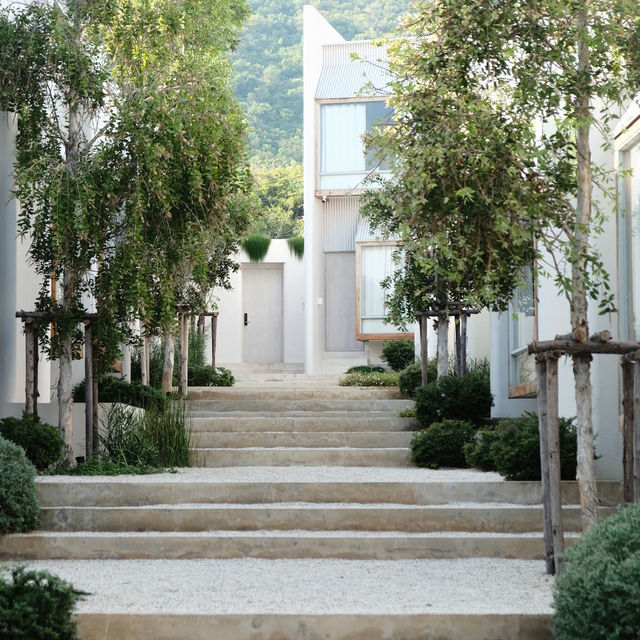 Cara Cara Resort เกาะล้าน