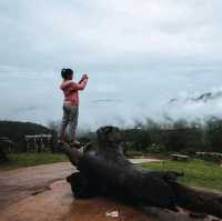 ลานกางเต็นท์วิวเมืองด่านซ้าย ไร่ช่างอุ้ม จ.เลย