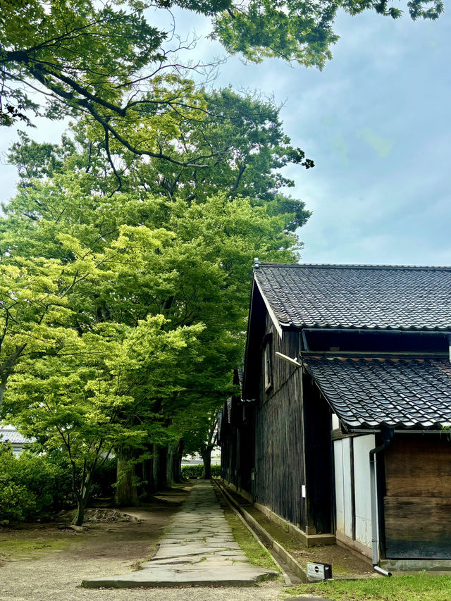 【日本東北】山居倉庫：江戶時代倉庫群和古老的櫸樹林