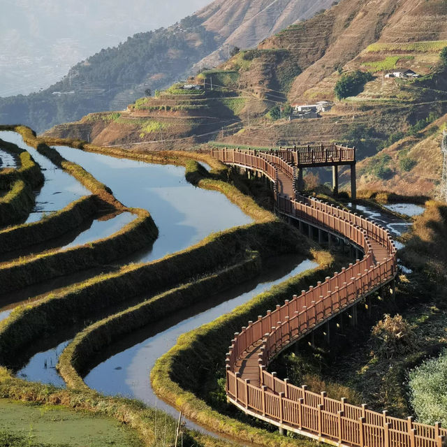散發著迷人的魅力🌎鵲田
