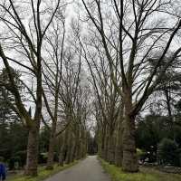Melaten Cemetery (Melaten-Friedhof)