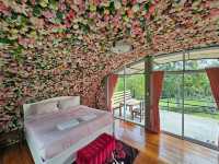 🌳The Banyan Leaf Resort