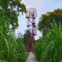 二井灣濕地公園：城市氧吧🌿🌊✨