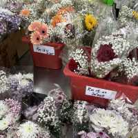 A day out from Bukit Nanas to Chinatown and to Central Market