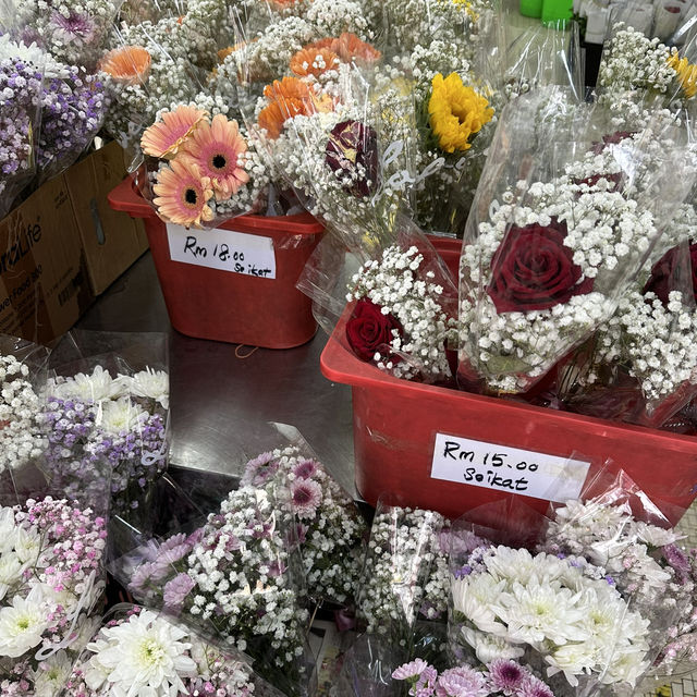 A day out from Bukit Nanas to Chinatown and to Central Market