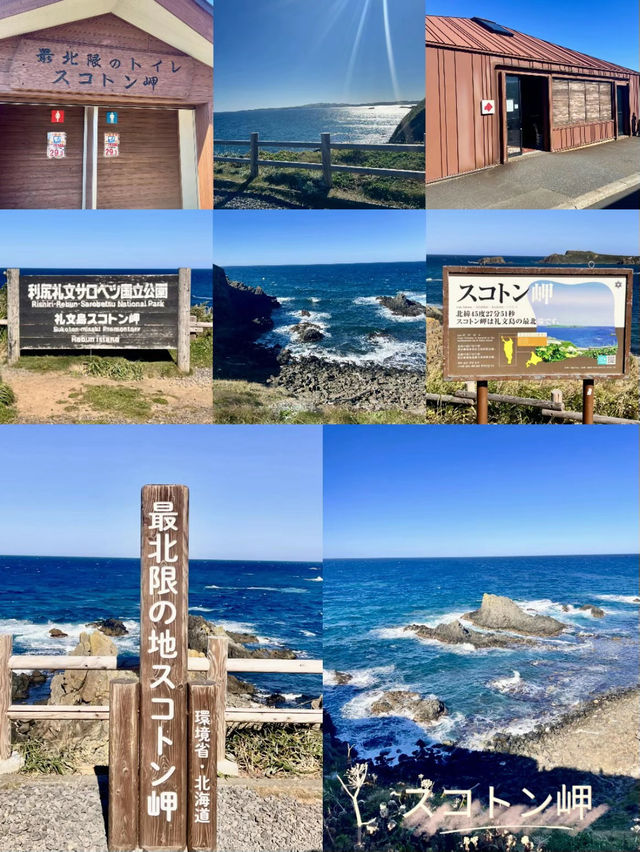 【完全保存版】北の最果て礼文島２泊3日の旅プラン✨