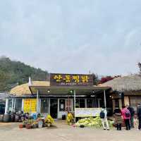 Step into the Past at Andong Hahoe Folk Village