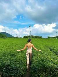 Experience the essence of Jeju @ Innisfree House 🇰🇷 