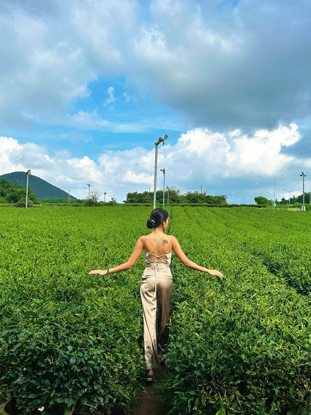 Experience the essence of Jeju @ Innisfree House 🇰🇷 