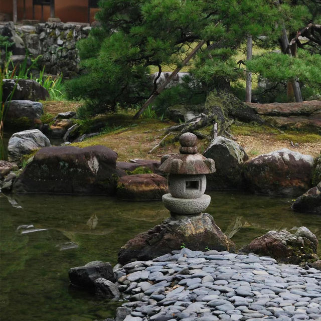 ～屋上庭園～靜靜美麗～