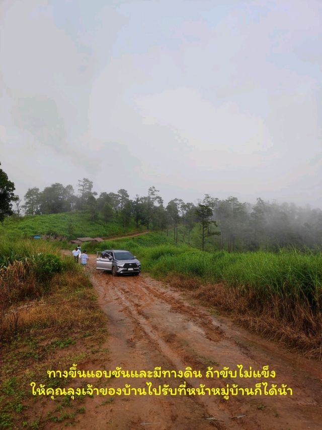ฮาดู่บิ ทำถึงมาก 