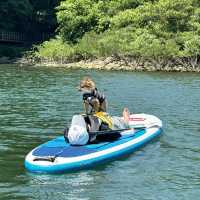 那須で犬連れSUP
