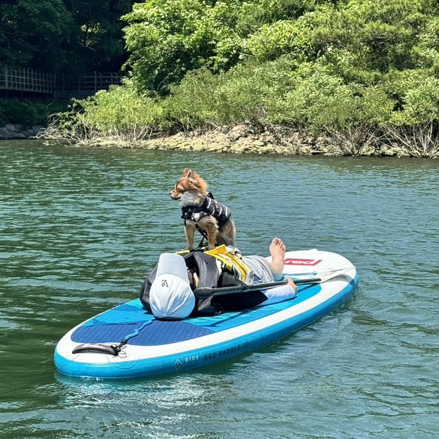 那須で犬連れSUP