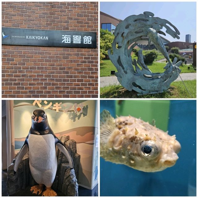 市立下關水族館-海響館