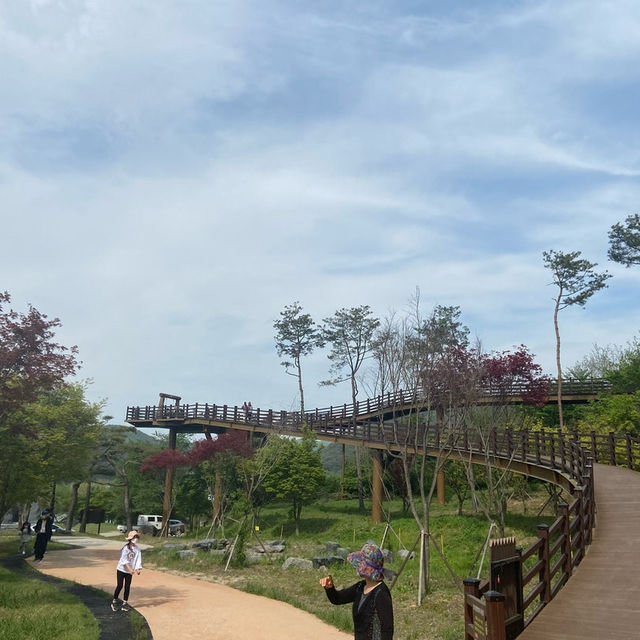 전북 정읍 내장산 국립공원 숲길🍀