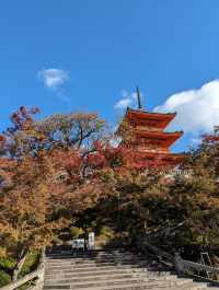 <京都 清水寺> 🇯🇵🍂名滿天下的賞楓勝地！ 
