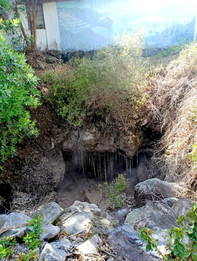 🇳🇿 Whakarewarewa Thermal Valley