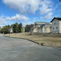 Nara Park: A Journey Through Japan’s Ancient Heart
