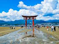 【広島】宮島の嚴島神社の大鳥居⛩️