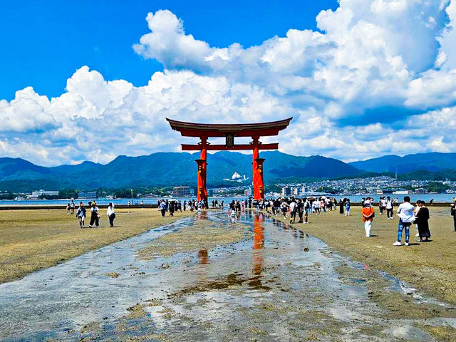 【広島】宮島の嚴島神社の大鳥居⛩️
