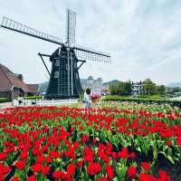  Discover the Charm of Huis Ten Bosch: A Dutch Wonderland in Nagasaki, Japan 🌷🏰🌟