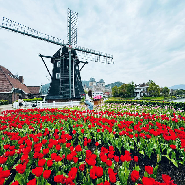  Discover the Charm of Huis Ten Bosch: A Dutch Wonderland in Nagasaki, Japan 🌷🏰🌟