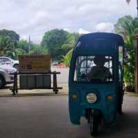 Trip with Family