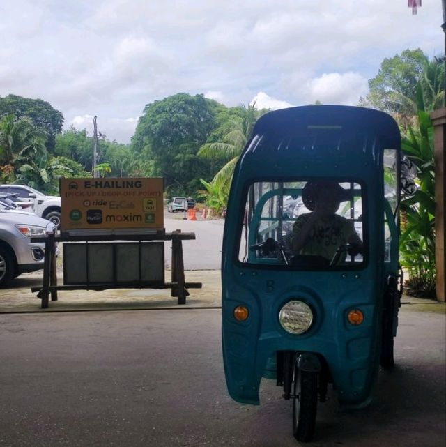 Trip with Family