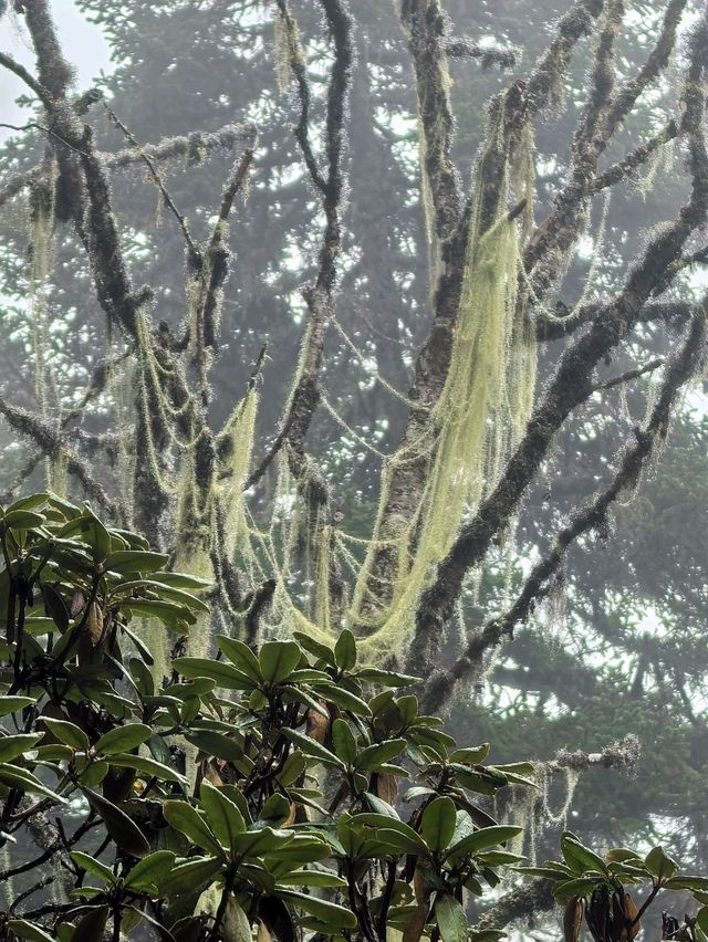 Beautiful Hiking Trail in Huanglong Valley