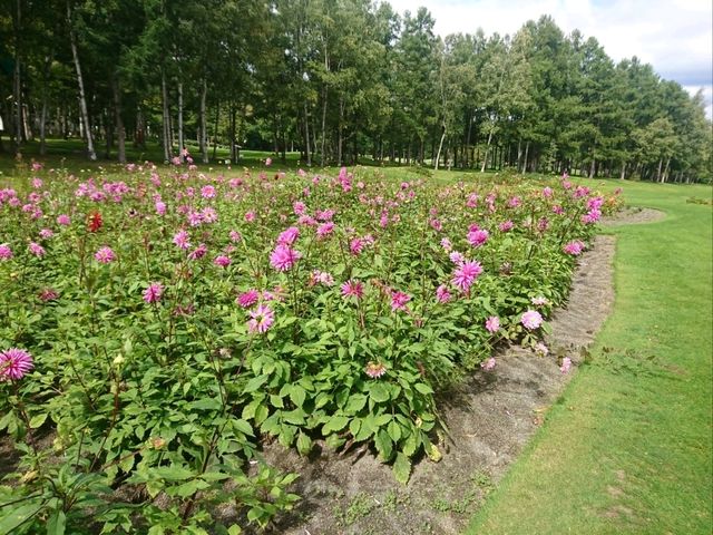 【新富良野プリンスホテル:北海道富良野市】広大な敷地にある綺麗なホテル✨