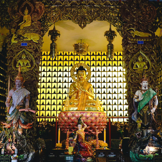 ม่อนพญานาคราช