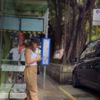 Walk the Streets of HongKong