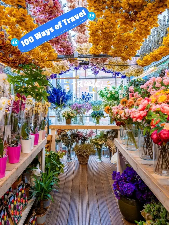 Discover Beautiful Amsterdam 🇳🇱✨