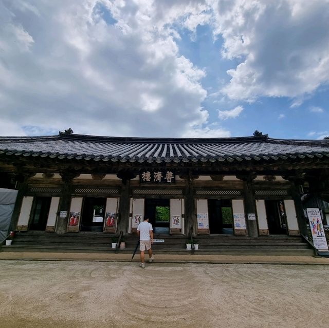 미스터션셔인으로 더 유명해진 지리산 천은사로 떠나보자