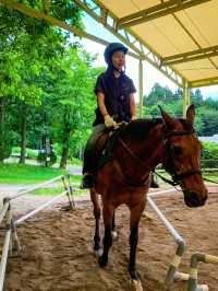 【岐阜】初心者でも◎ 大自然で乗馬体験しよう🐎