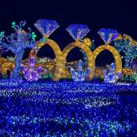 【静岡】伊豆最大級のイルミネーション🌙