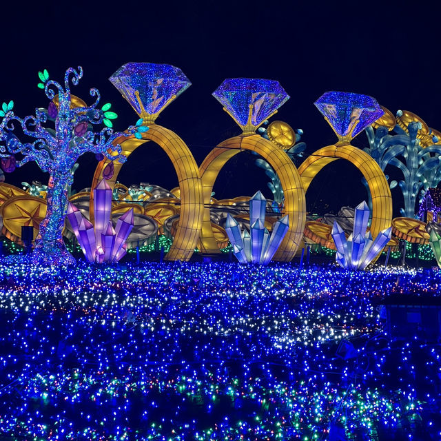 【静岡】伊豆最大級のイルミネーション🌙