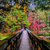 Steep Rock Preserve