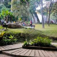 Whispers of Water: The Beauty of Washirathan Waterfall