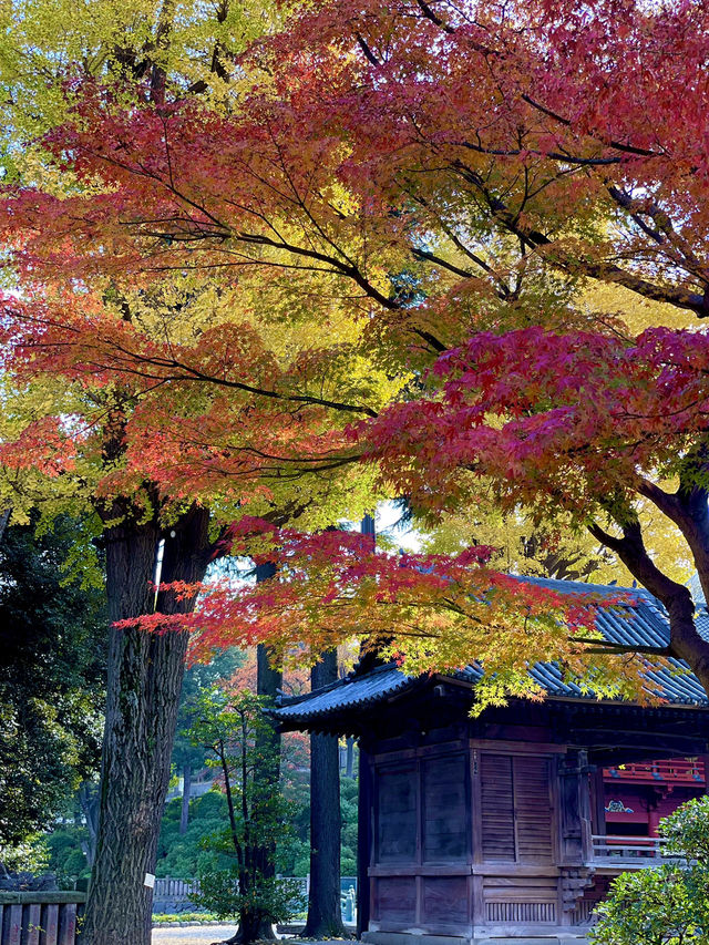 【東京 谷中】極上モンブランと紅葉🍁 レトロスポット巡り