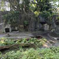 【台北動物園】 台北市立動物園😎