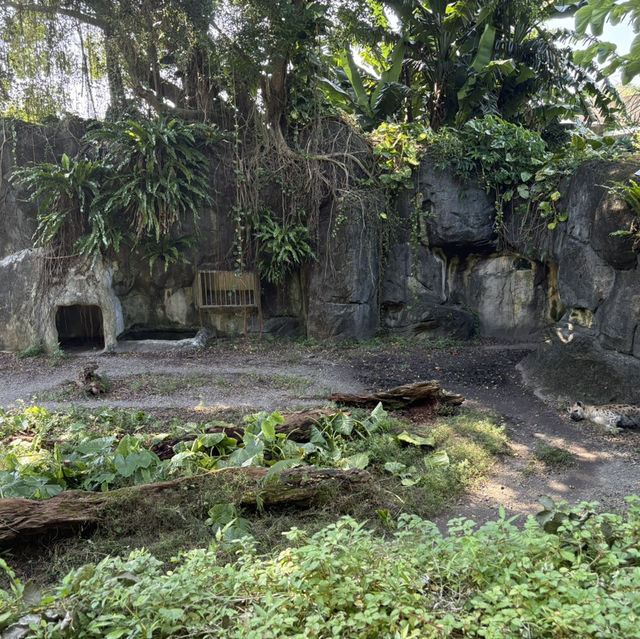 【台北動物園】 台北市立動物園😎