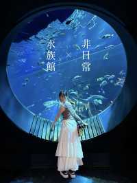 【非日常×水族館】沖縄で出会えるお魚と動物たち。DMMかりゆし水族館の魅力を伝えます🪼