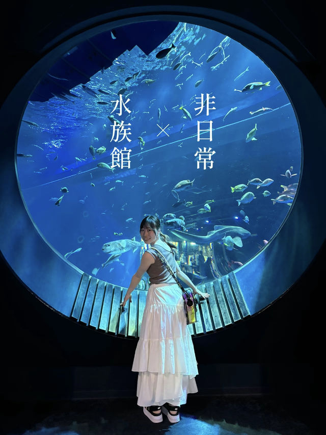 【非日常×水族館】沖縄で出会えるお魚と動物たち。DMMかりゆし水族館の魅力を伝えます🪼