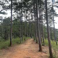 ⛰️เดินป่าวันเดย์ทริป ดูทะเลหมอกบนดอย