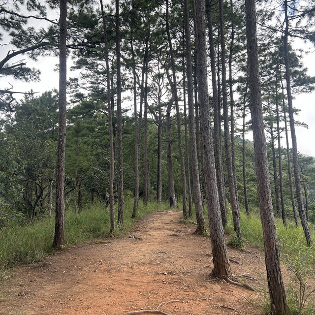 ⛰️เดินป่าวันเดย์ทริป ดูทะเลหมอกบนดอย