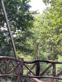 วนอุทยานแก้วโกมล (ถ้ำแก้วโกมล) 
